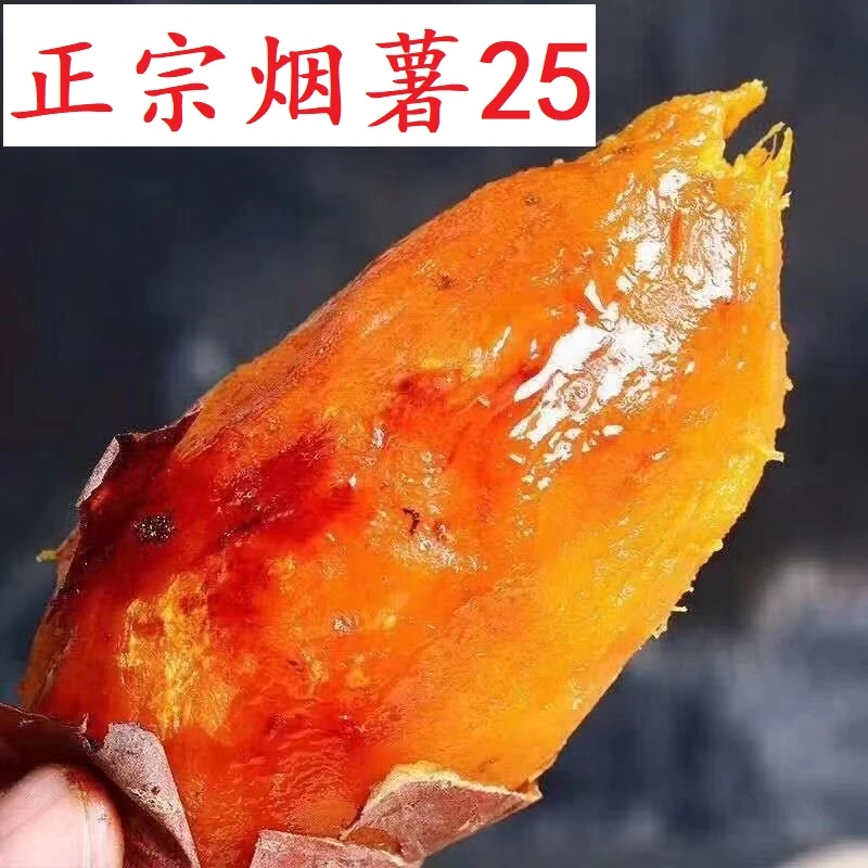 烟薯25号正宗蜜薯5斤糖心红薯流心蜜薯新鲜红薯烤薯店同款