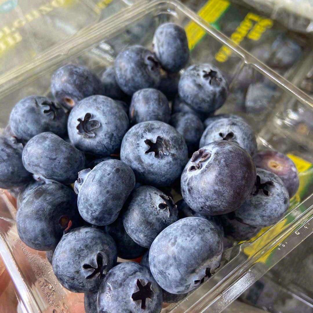 2盒】蓝莓250g盒蓝莓同城送