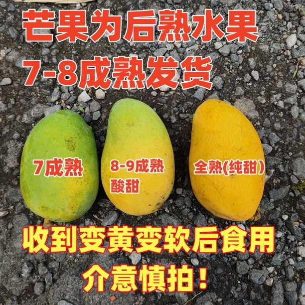 广西小台农芒果时令应季水果新鲜现摘整箱5/10斤1