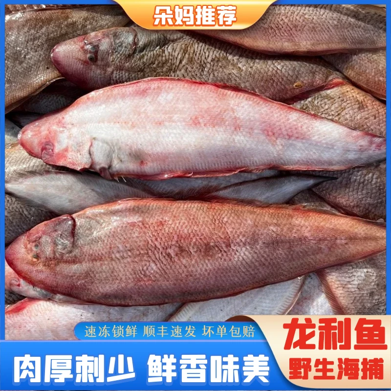 【朵妈推荐】本港纯野生龙丽鱼踏板鱼海鱼海鲜水产顺丰约4条/斤5斤