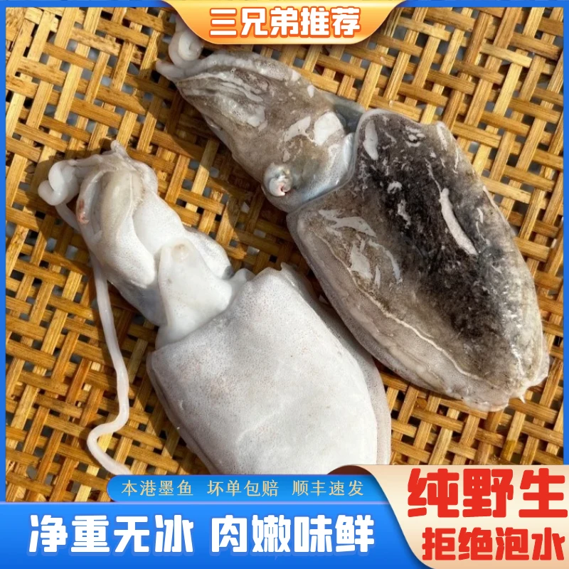 【三兄弟推荐】野生海捕墨鱼日照渔港直发 约7-9条/斤 4斤装