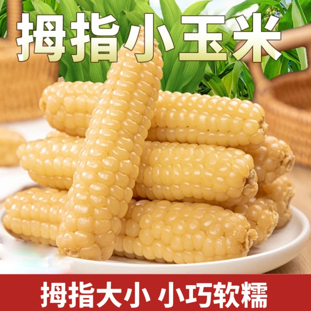 云南西双版纳拇指小糯玉米 软糯香甜 自然醇香 营养锁鲜真空包装