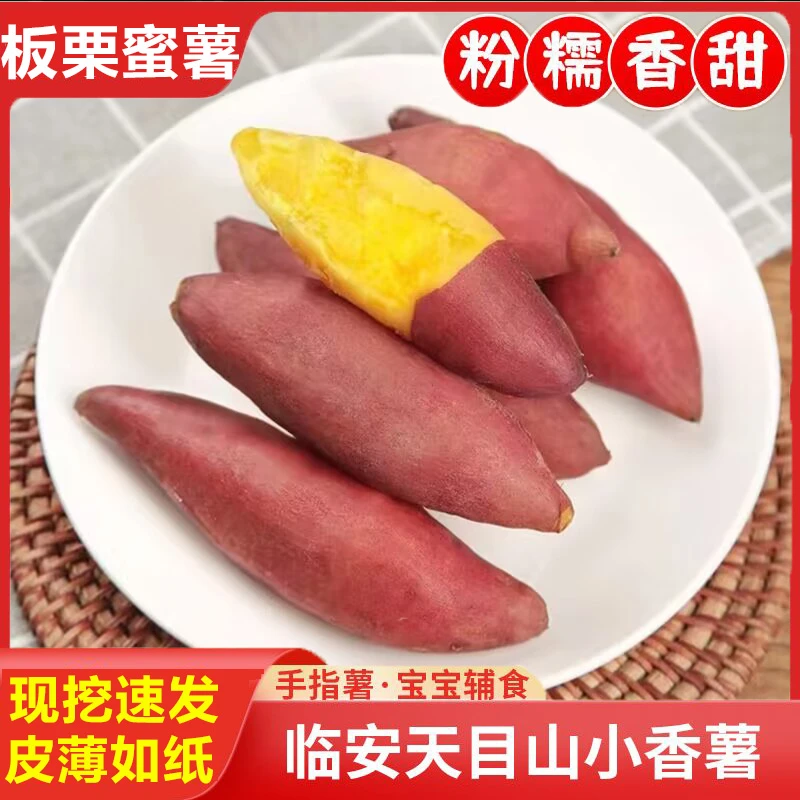 【拇指小香薯】临安天目山小香薯红薯番薯5斤装净重新鲜现挖地瓜