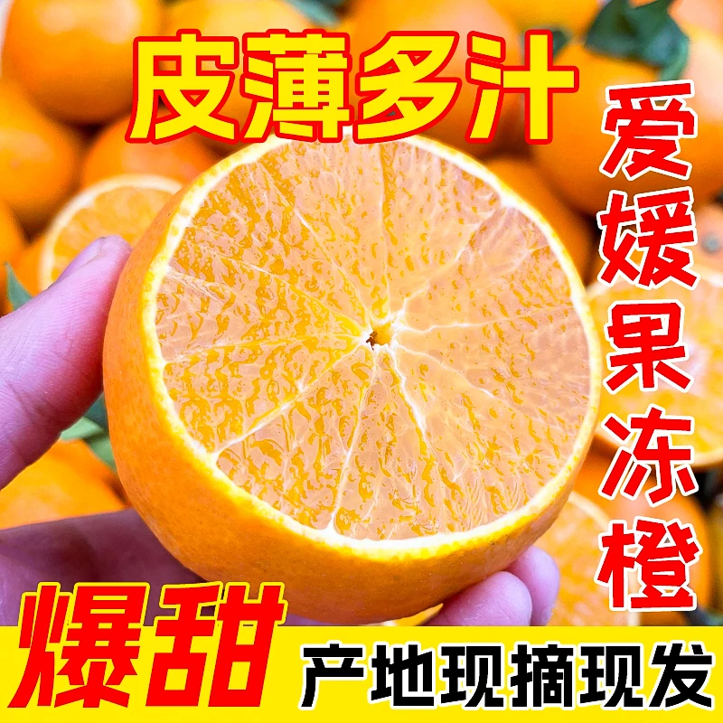 【新号福利】爱媛38号果冻橙四川当季特产新鲜水果薄皮橙子
