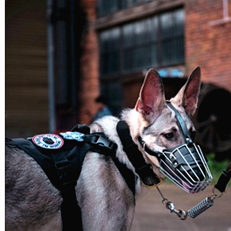 中大型犬铁嘴笼罗威纳卡斯罗巨型口罩防咬误食金毛德牧马犬狗嘴套