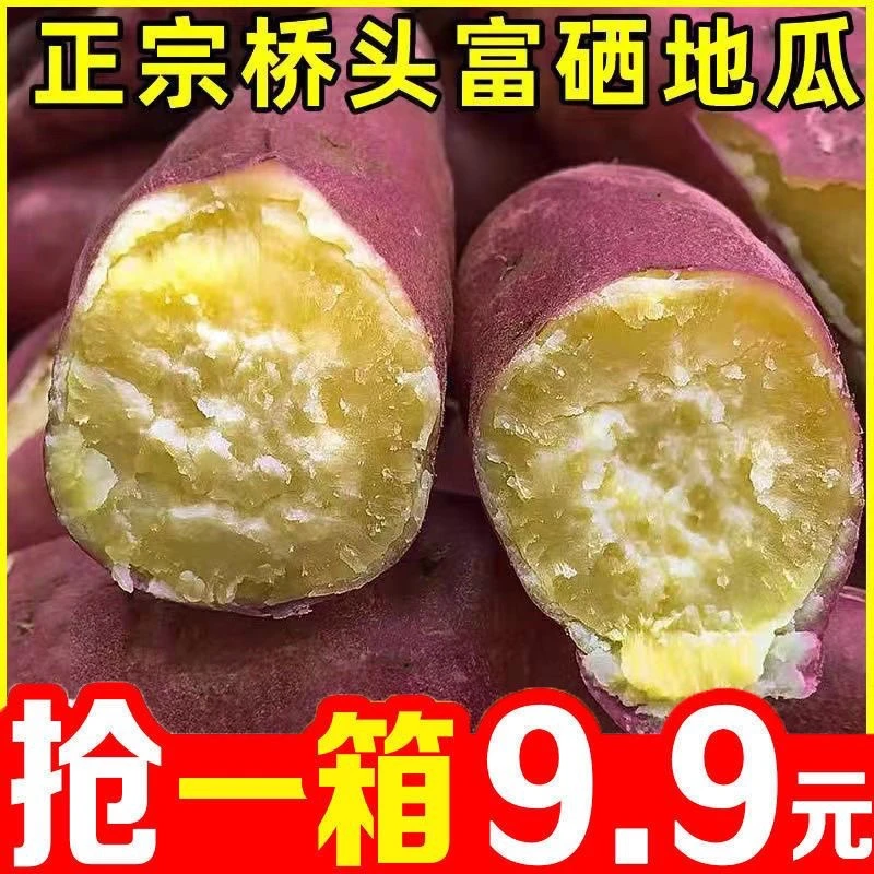 【新店抢购】新鲜黄心板栗薯1/10斤红薯地瓜粉糯香甜鸡蛋黄番薯烟