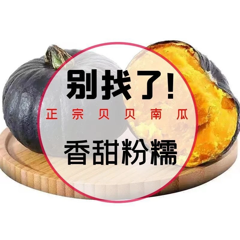 贝贝南瓜批发新鲜板栗味迷你小南瓜软糯香甜孕妇宝宝辅食3/5斤