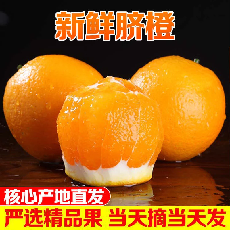 橙子奶香脆橙当季新鲜脐橙柳红手剥甜橙孕妇水果整箱