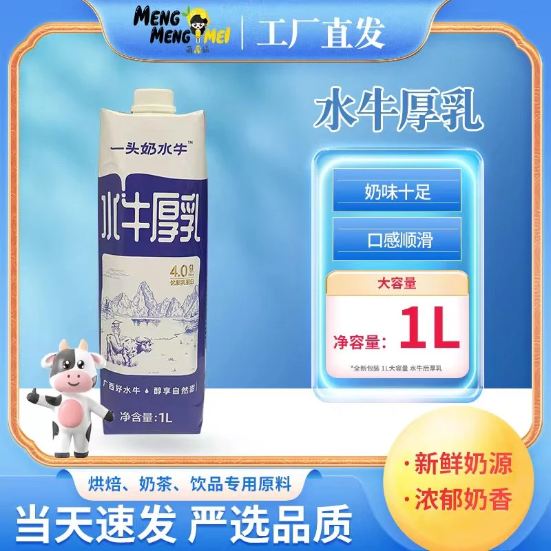 一头奶水牛厚乳醇香自然甜味优质乳蛋白