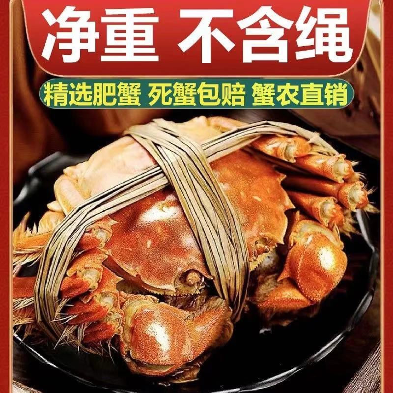 【活蟹】大闸蟹-公蟹3.5-3.8两-母蟹3-3.3两八只十只顺丰包邮
