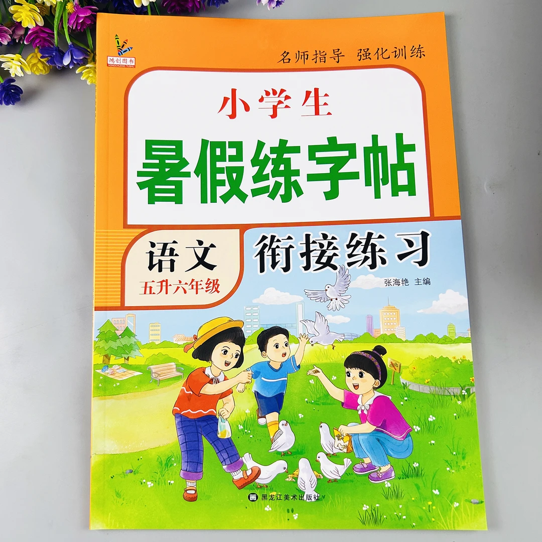五升六暑假练字帖暑假同步练字帖五升六字帖五年级下册暑假字帖