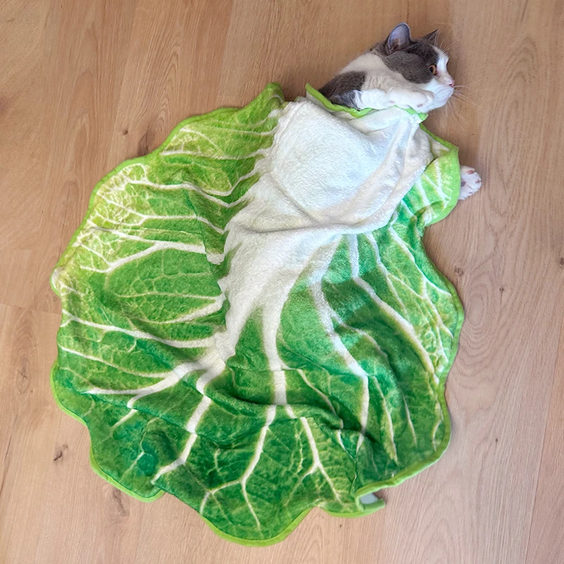 仿真白菜毯子裹毯柔软加厚创意搞怪午休毯子抱枕被子俩用可收纳