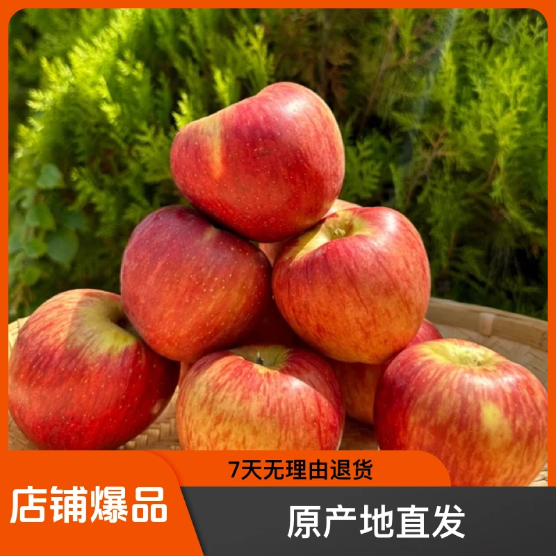 （试吃装）云南昭通红露糖心苹果 宝宝果 香甜可口 原产地直发