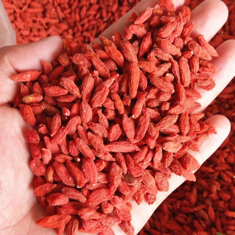 新疆枸杞500g（带叶子和不带叶子）营养产地净含量