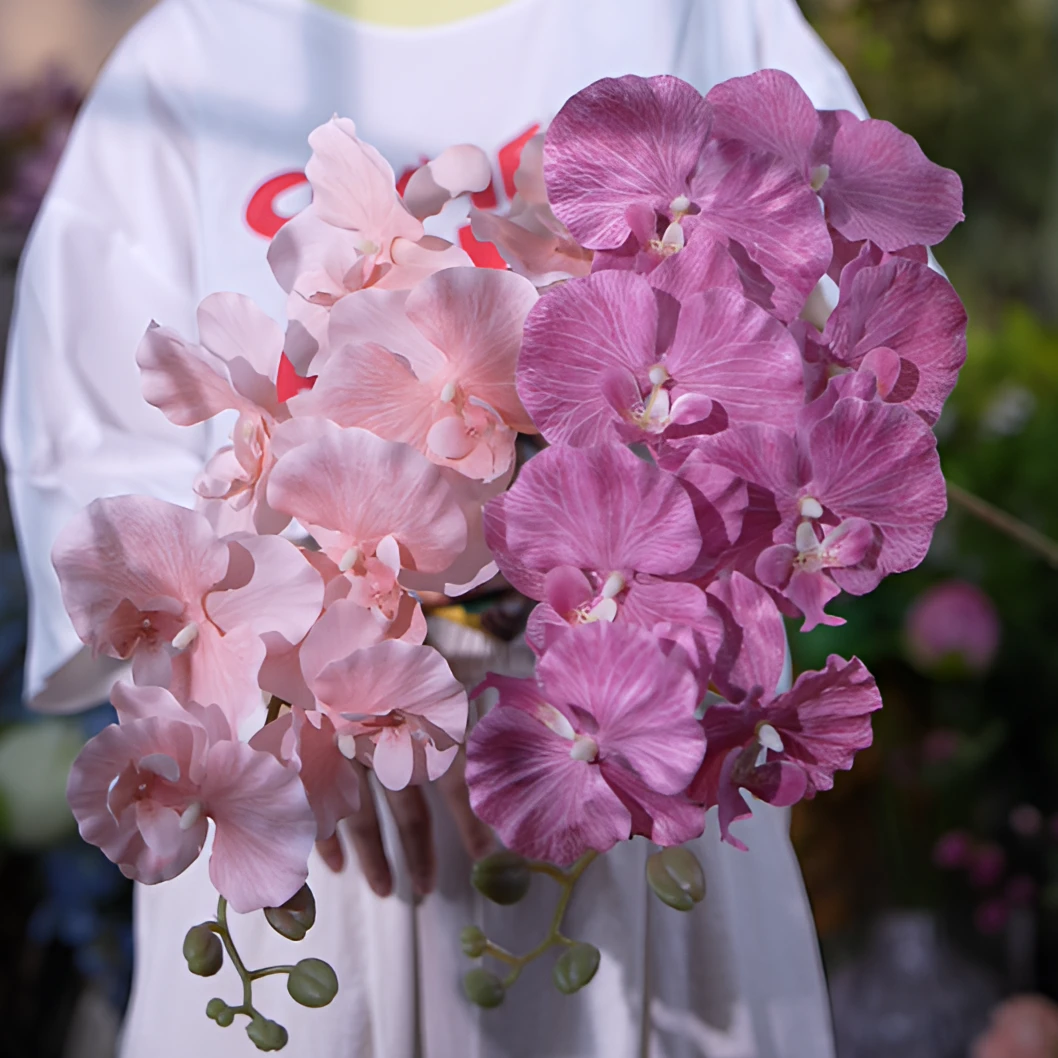 蝴蝶兰 大头 绢布材质 可水洗 清仓