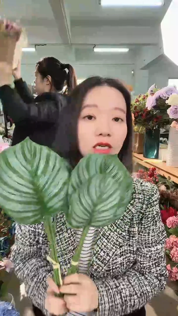【闪购商品】苹果叶2把