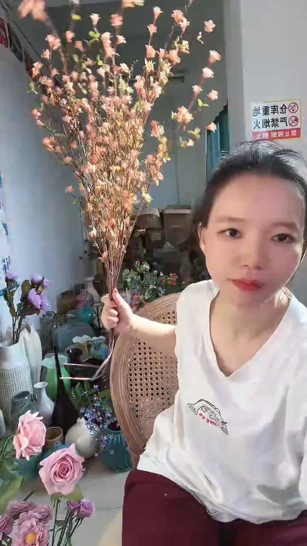 【闪购商品】3浅黄风铃