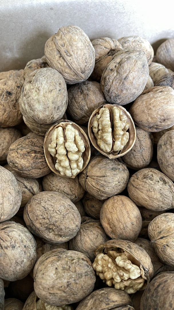 原生态新疆特产阿克苏当季新货 原味185纸皮核桃4斤装  手捏即碎