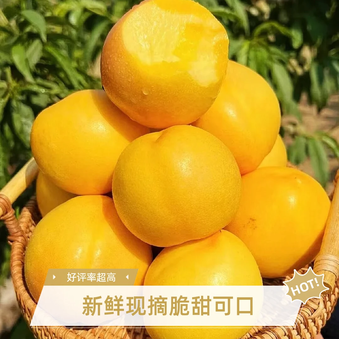 【平谷大桃】脆甜黄油桃/净重6斤/北京平谷大桃精美礼盒装/顺丰快递
