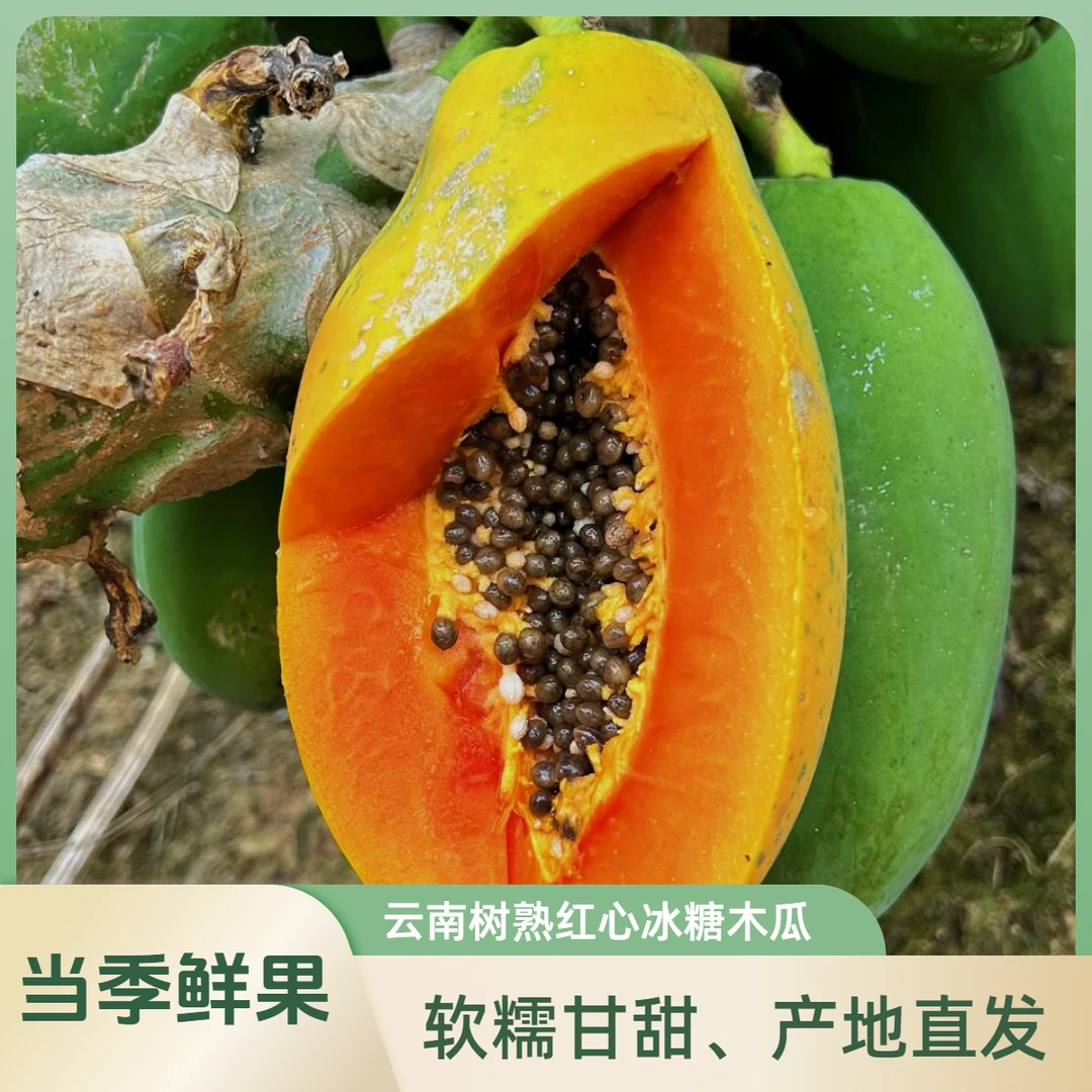 【顺丰、滇西阿表哥】云南树上熟红心冰糖木瓜软糯甘甜热带水果直发