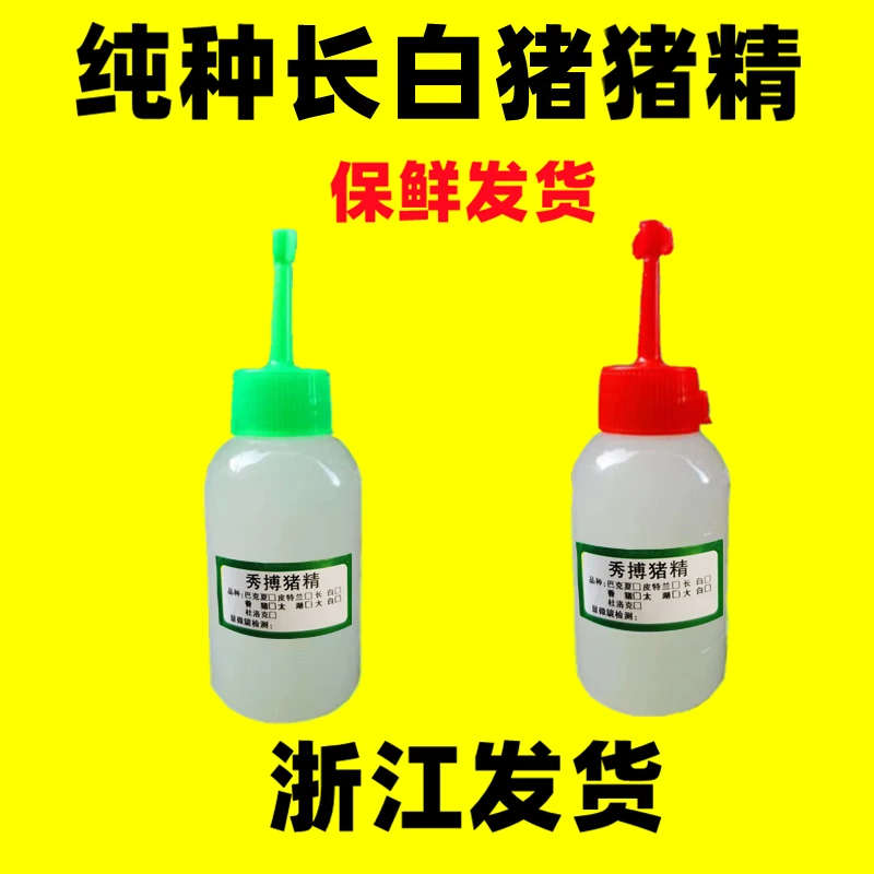纯种猪精配种纯种猪精液保护营养液长白大白杜洛克公猪精养殖场