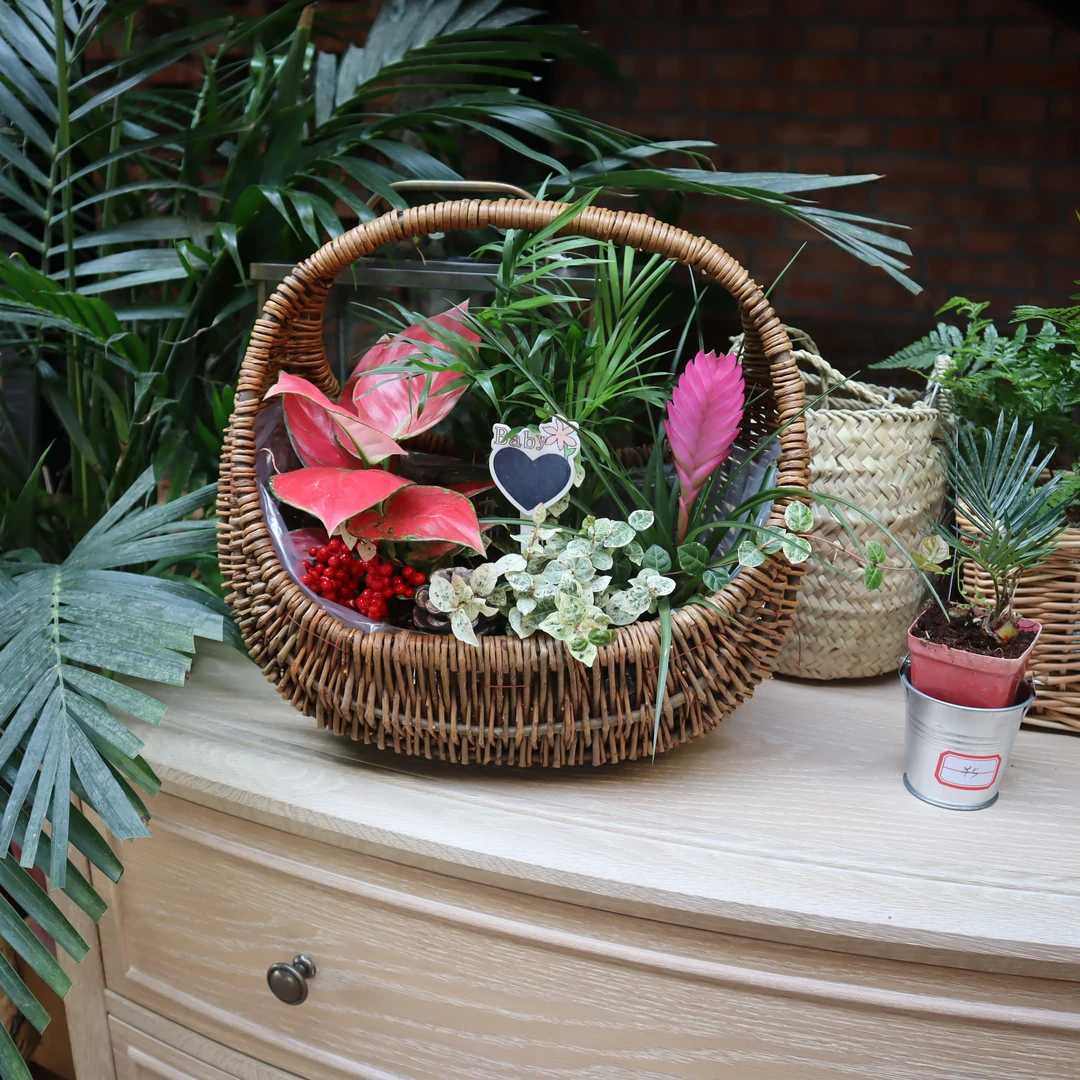 柳编编织水果篮购物篮收纳蔬菜篮零食包装篮采摘果篮舞蹈手提花篮