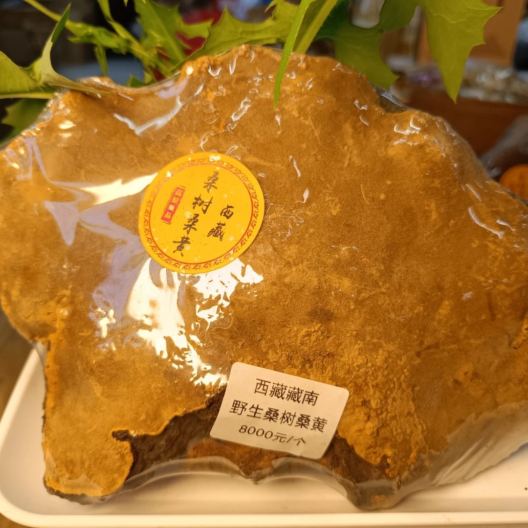【承颐堂】承颐堂藏南正品桑树桑黄 500克 煲汤煮水 可切片打粉食