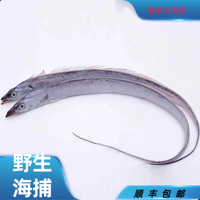 大连野生海捕刀鱼【渤海湾带鱼】4斤装个别有破肚子顺丰包邮