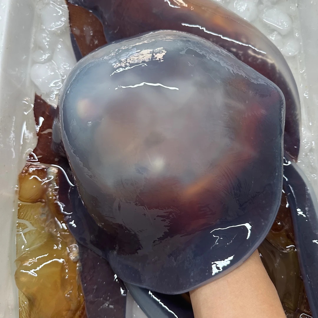 大连海蜇皮4斤装到家会脱水半斤左右顺丰包邮