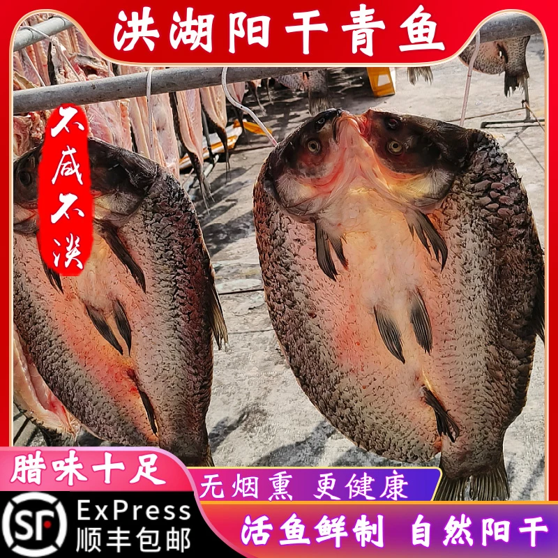 湖北洪湖阳干大青鱼农家自制年货腊鱼咸鱼风干鱼大鱼整条螺蛳青鱼