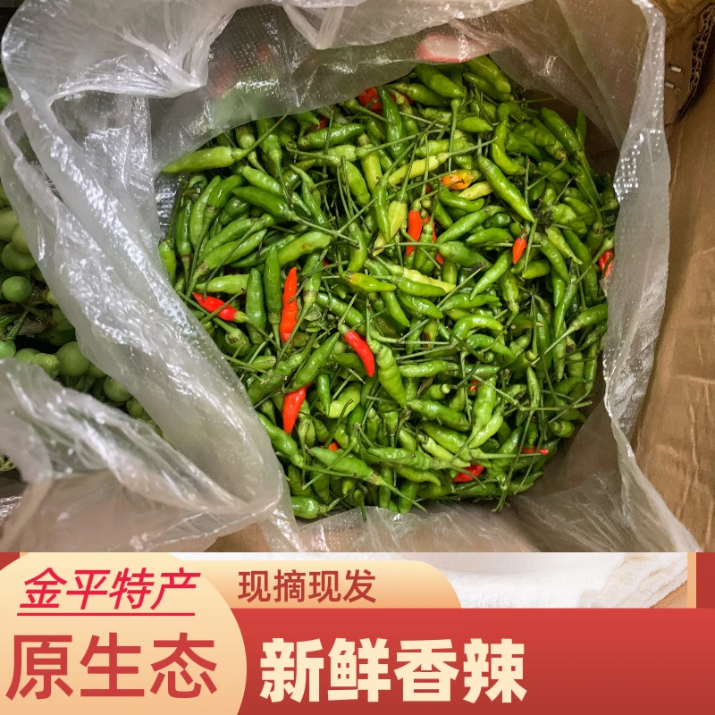 云南【云南特产小米辣】新鲜迷你辣椒【小雀椒】现摘现发