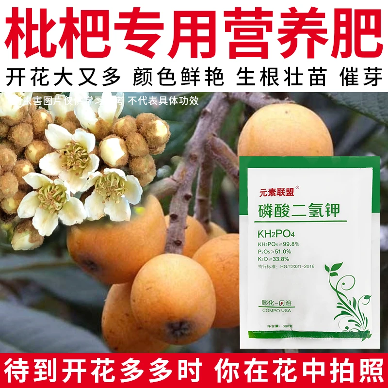 【枇杷专用营养肥】黄叶生长慢花芽少花卉盆栽壮根催花开花水溶肥