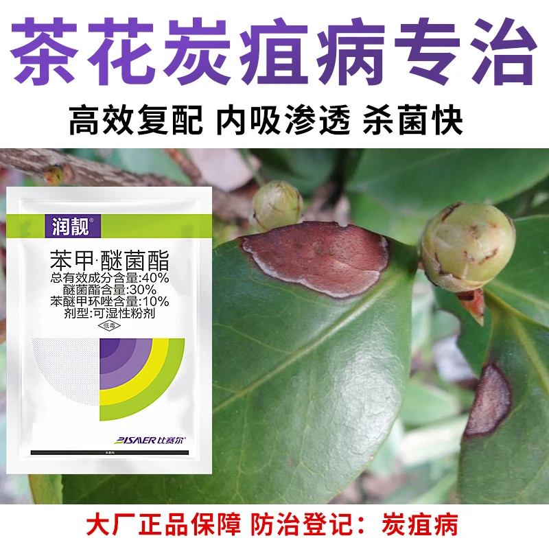 茶花炭疽病专效药黑斑病叶斑病叶枯病轮纹病君子蝴蝶兰安全杀菌剂