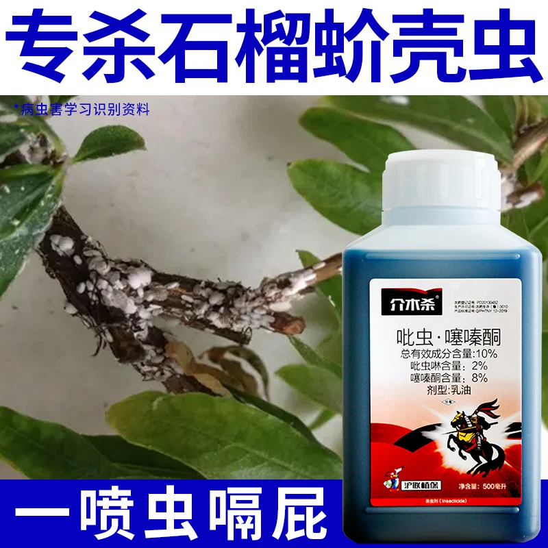 石榴树虫害蚧壳虫专用农药介壳虫杀虫剂多肉菊花苦菊小金桔杀虫剂