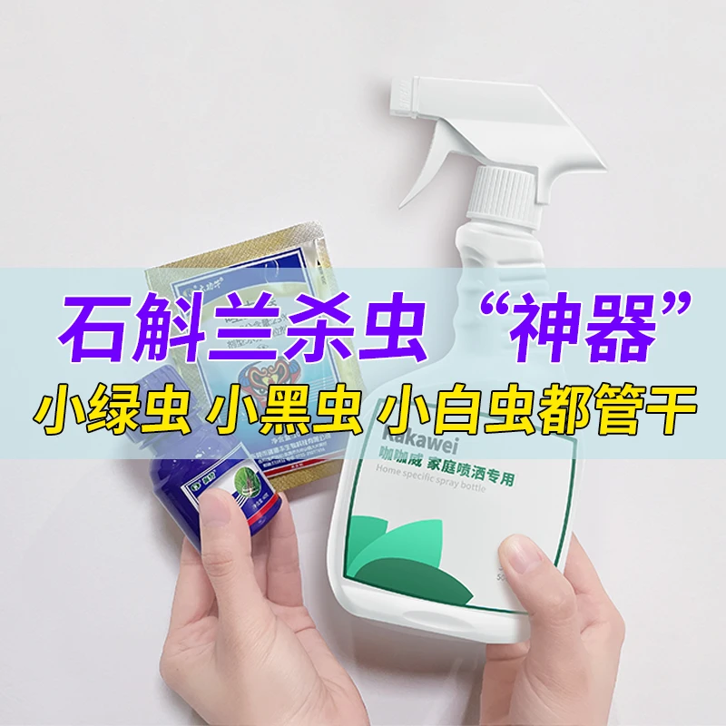 石斛兰杀虫剂蚜虫小绿虫白粉虱小白虫蚧壳虫小黑虫小黑飞杀虫药