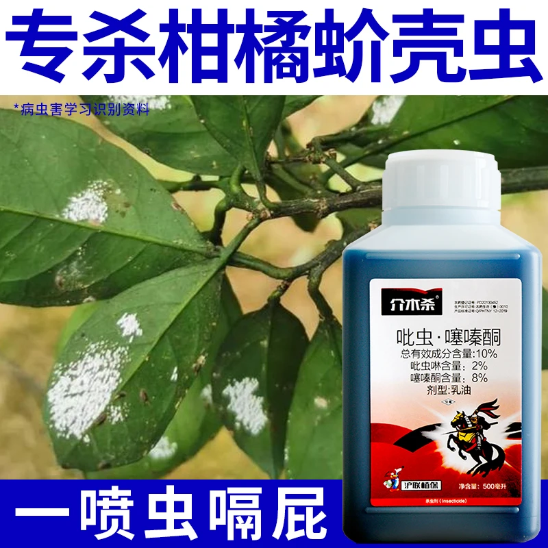 柑橘树蚧壳虫吡虫噻嗪酮专用农药蚧壳虫花卉果树杀虫药高效杀虫剂