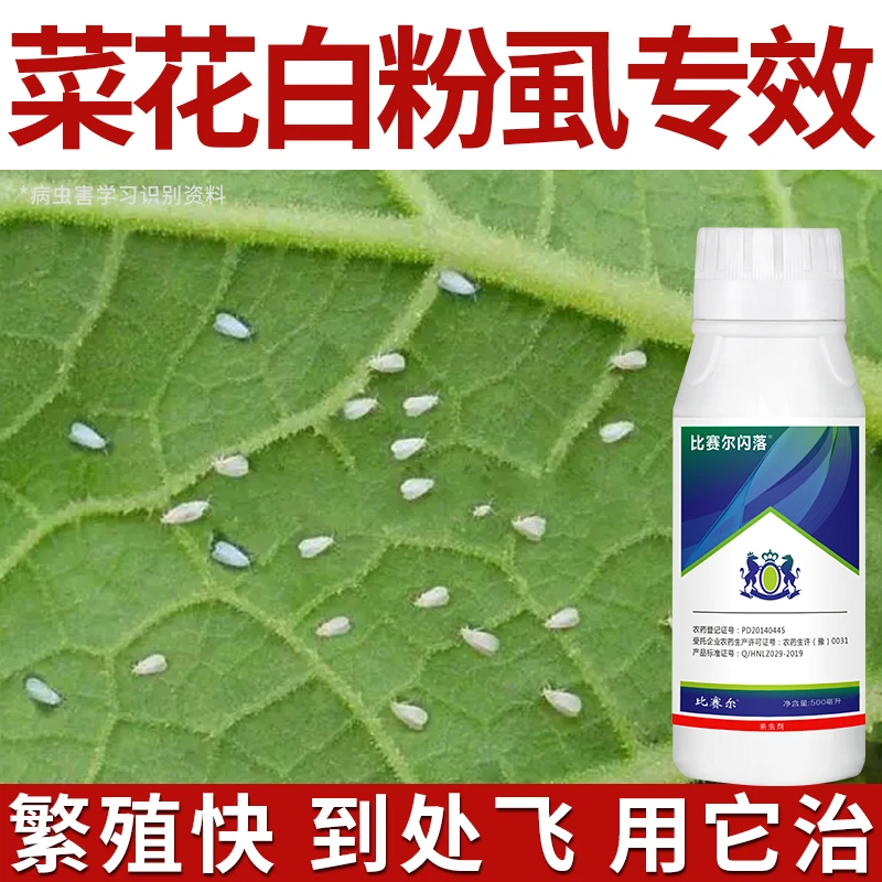 菜花生小白虫白粉虱白蛾子小白飞农药联菊啶虫脒农药温室粉虱通用