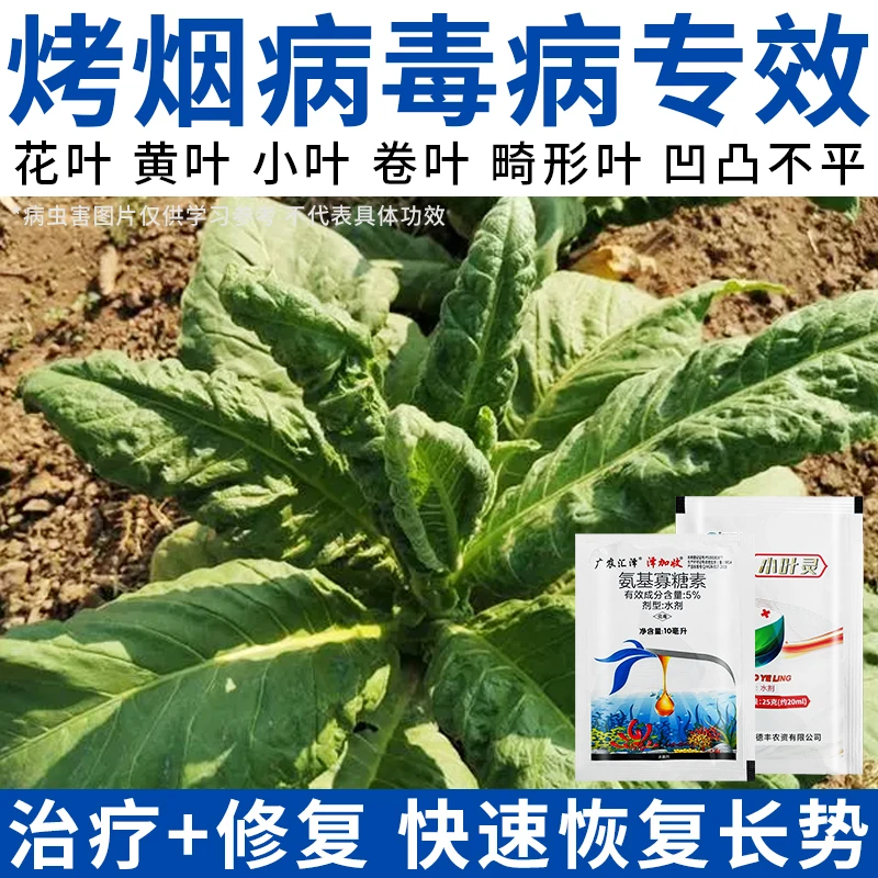 【烤烟病毒病专效药】黄叶小叶卷叶缩叶畸形叶枯叶农药杀菌剂套装