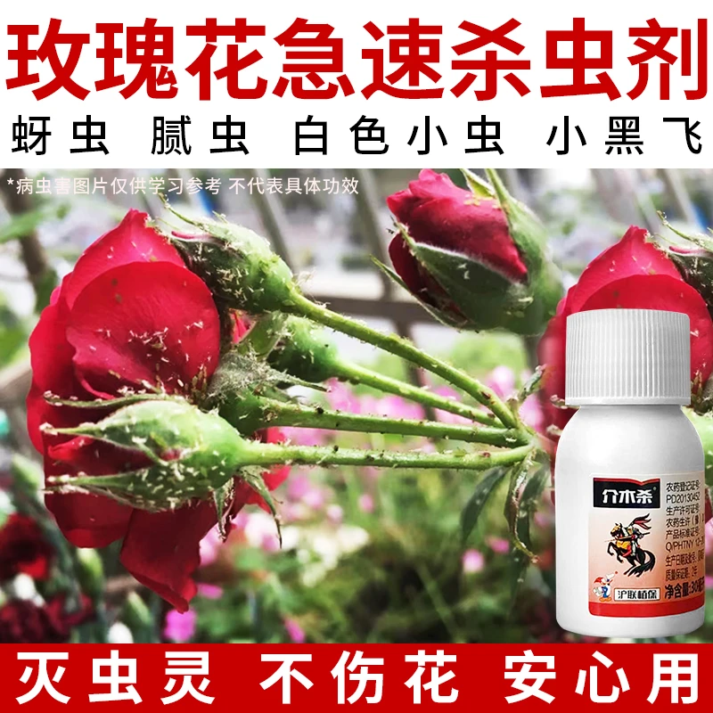 玫瑰花蚜虫杀虫剂白兰花牡丹丁香花长绿色小虫腻虫小黑飞杀虫剂