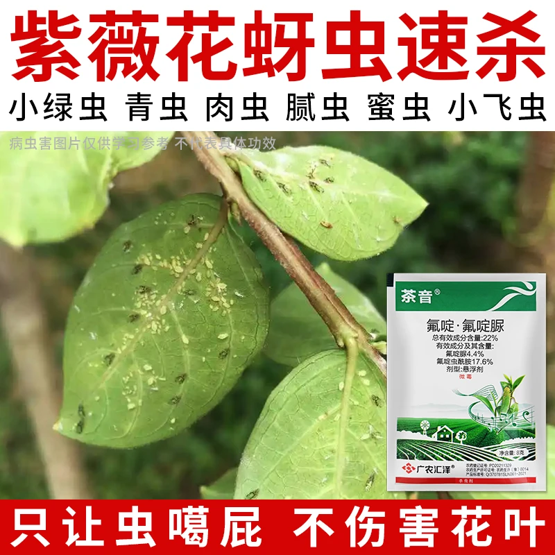 【紫薇花树蚜虫小绿虫毛毛虫专效杀虫剂】腻虫蜜虫油旱青肉虫杀卵剂