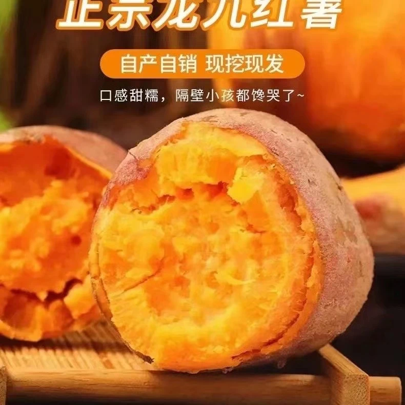 2024年河南香甜沙地红薯黄心西瓜红蜜薯现挖现发饱满新鲜甜糯香甜