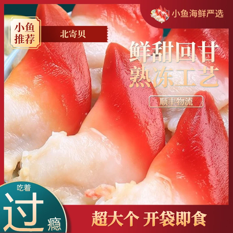 丹东 东港 北寄贝 北极贝 马贝 即食 寿司 料理 鲜活 海鲜500g*1