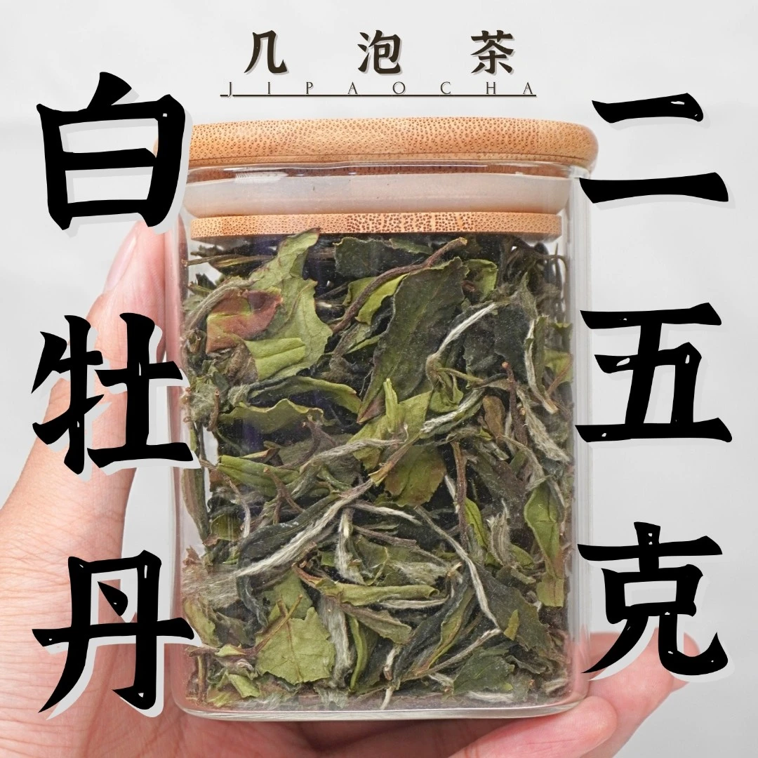 几泡茶白茶白牡丹2023明前福建福鼎日晒送茶礼物花香茶叶品鉴好茶