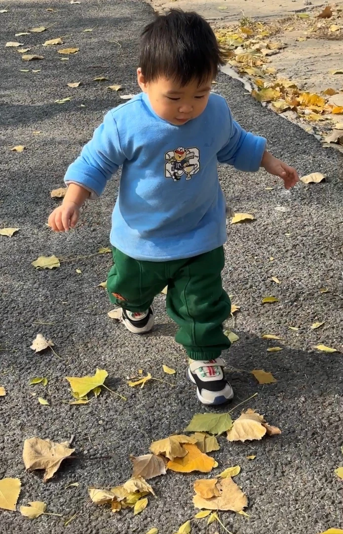 加棉款小熊高弹力打底衫 一件过冬款儿童男女童打底衣 图案随机