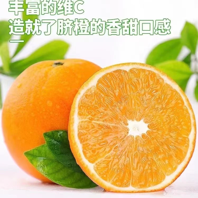 新鲜江西赣南脐橙孕妇橙现摘现发不打蜡不催熟不泡防腐剂
