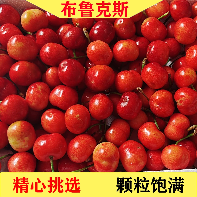 【脆甜布鲁克斯】山东大樱桃新鲜采摘果园直发水果3/5斤空运包邮