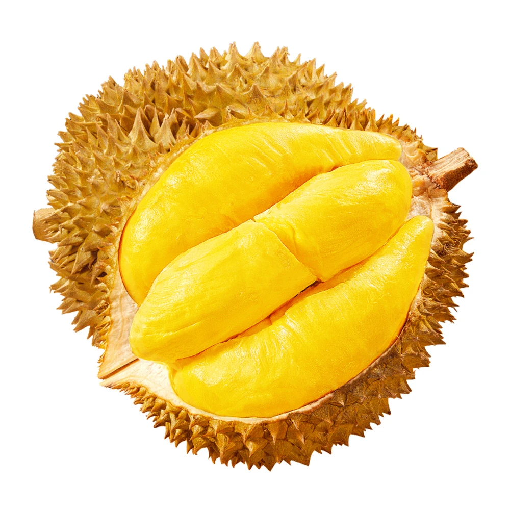 【越南金枕】树熟AA级榴莲 进口越南金枕榴莲