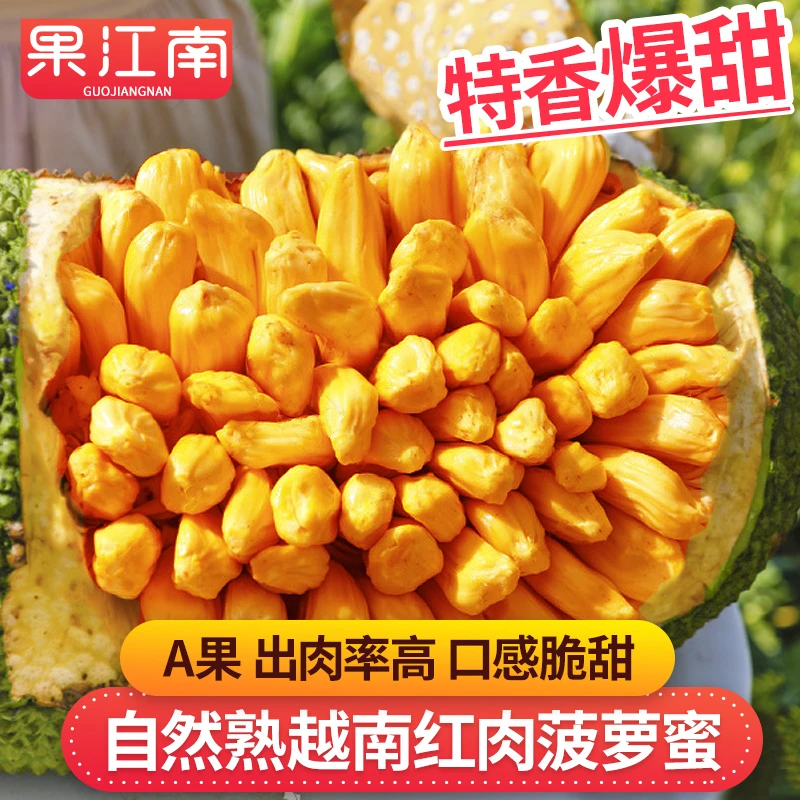 【果江南】越南红肉菠萝蜜6-22斤精选果树上熟爆甜 新鲜水果好吃