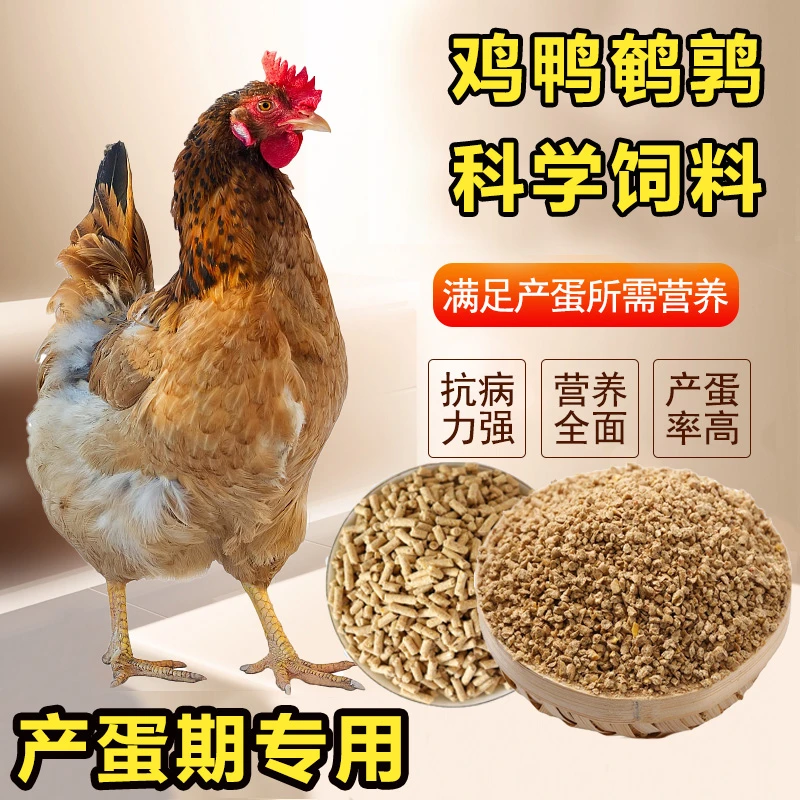 小鸡饲料鹌鹑产蛋芦丁鸡料钓鱼打窝营养蛋白料下蛋食粮雏鸡开口料