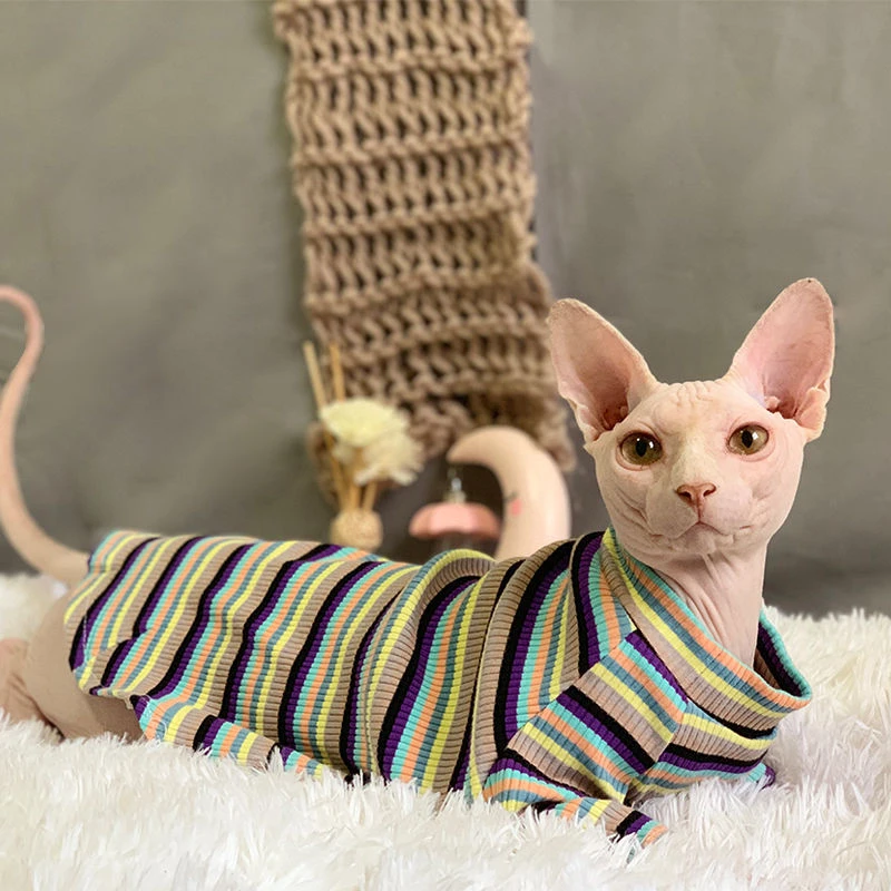 无毛猫衣服薄款透气纯棉面料斯芬克斯德文柯尼斯暹罗夏季护肚背心